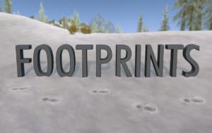 Footprints 300x188
