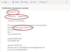 Michael Chin PA Manual Purchase 300x200